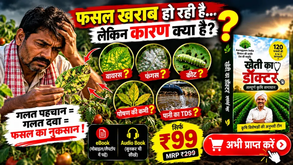 डाइट प्रोटोकॉल