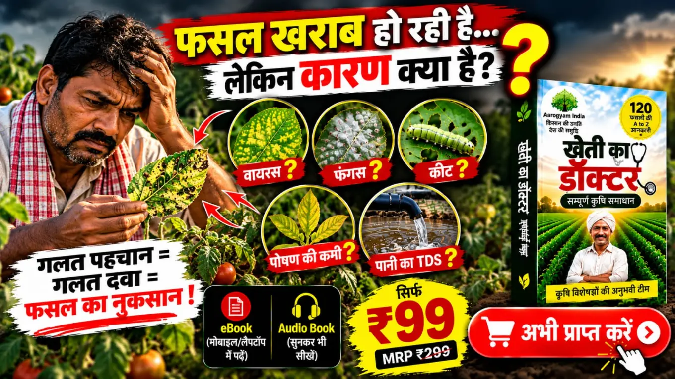 Special Offer Banner