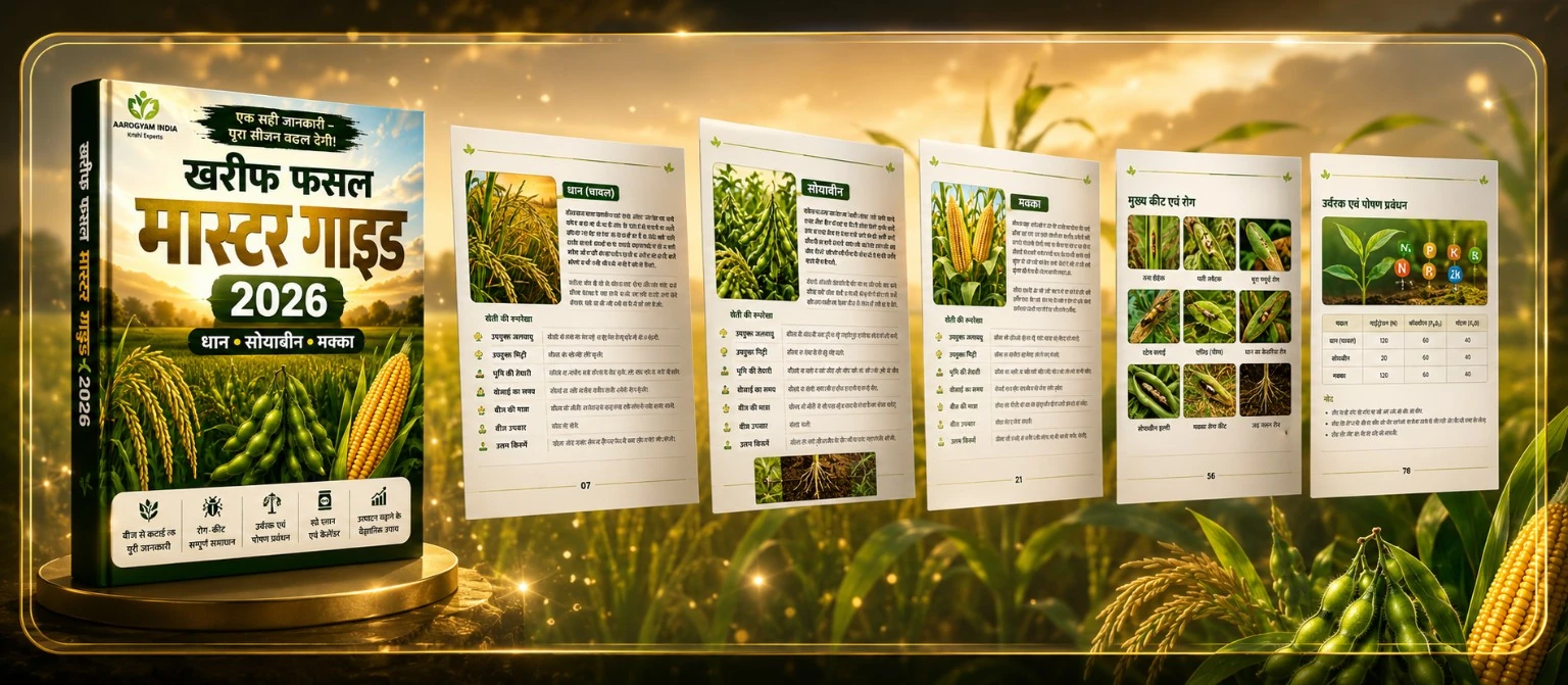 Book Preview Banner
